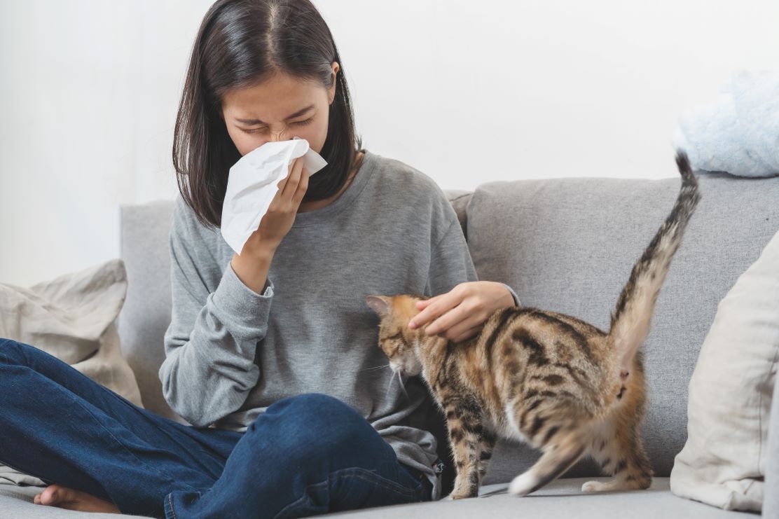 Allergies to Your New Puppy or Kitten