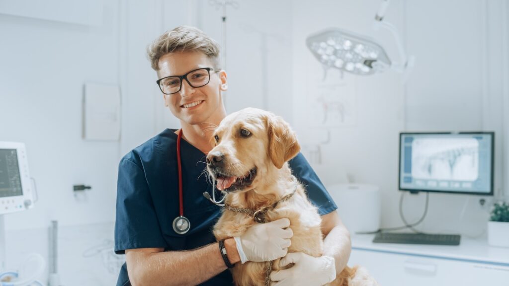 regular pet wellness exams with a vet