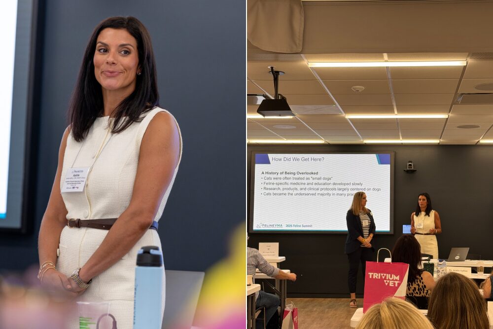 dr. ashlie saffire presenting