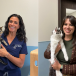 dr. ashlie saffire and caitlin dutcher-lundy holding kittens at faithful friends cat specialty center